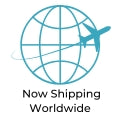 Now shipping worldwide - plane and globe icon