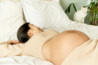 Postpartum Support Australia: How to Plan Pregnancy, Birth & Fourth Trimester Care - TheRY