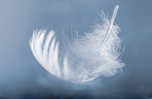 floating feather - soft